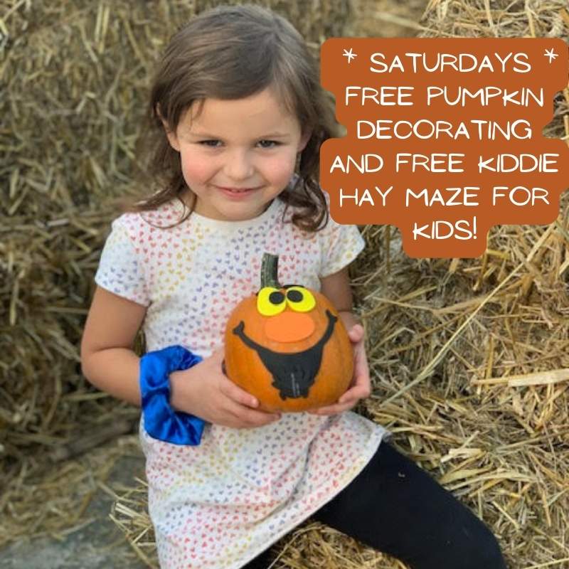 Saturdays Free Pumpkin Decorating Saturdays in October