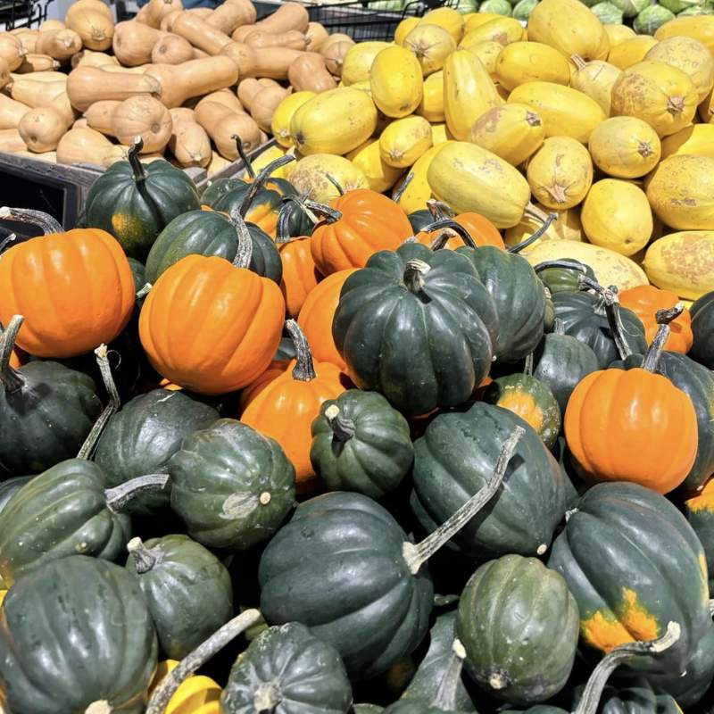 winter squash at shores sisters