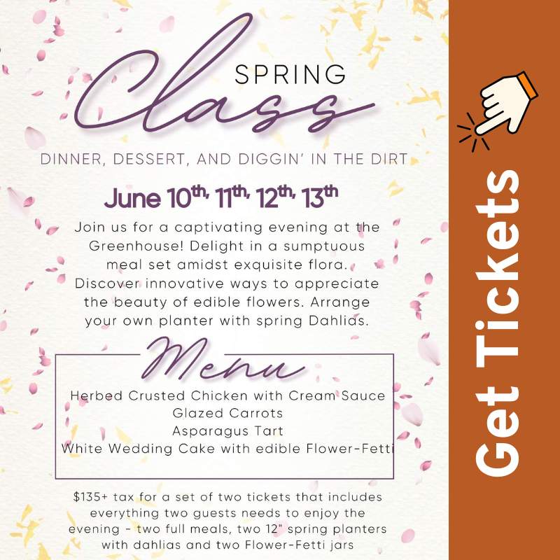 june 2025 shores sisters spring class
