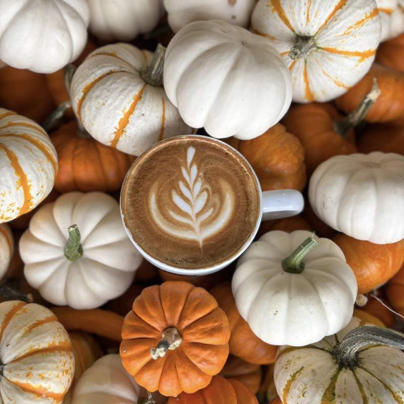 pumpkin spice latte