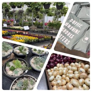 spring at shores sisters