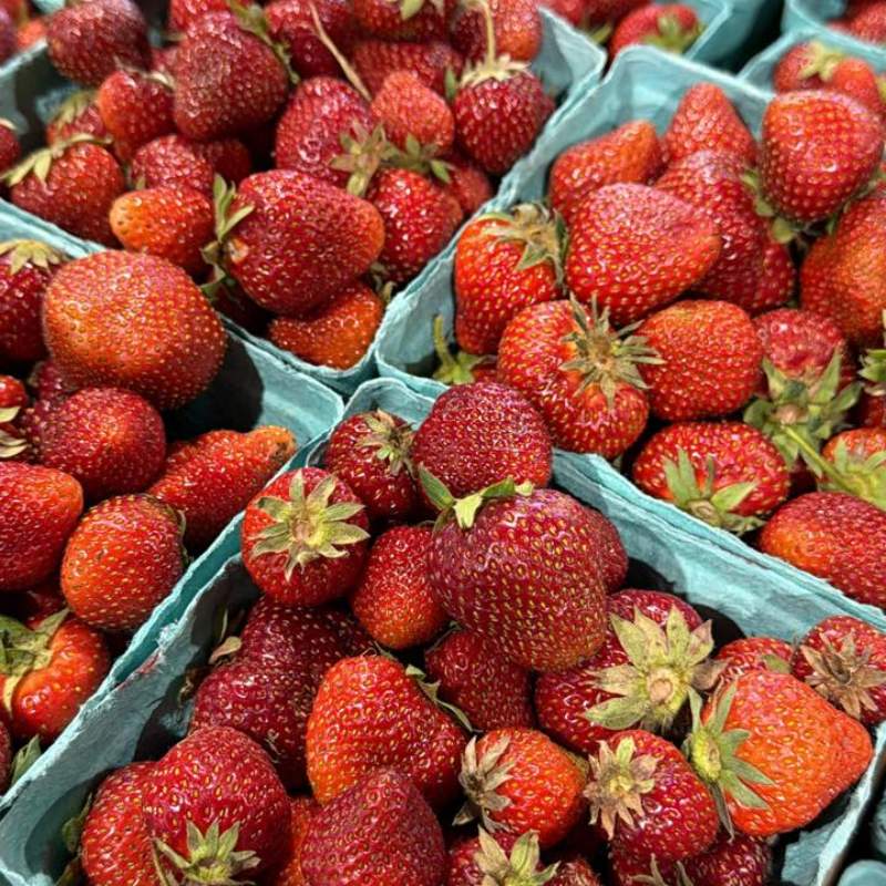 Local Berries Local Berries