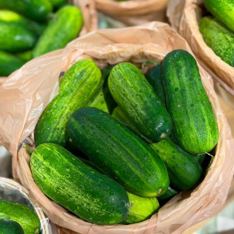 Cucumbers pickling cukes