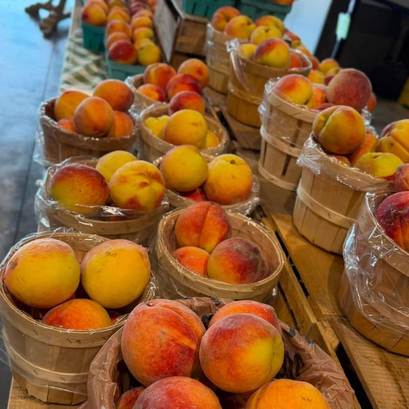 Southern peaches
