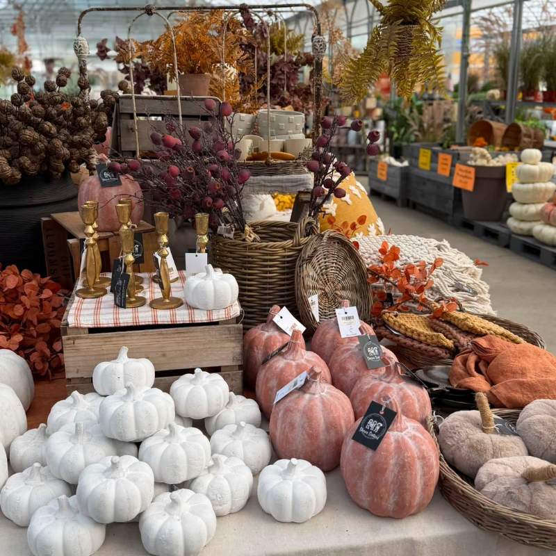 fall decor fall decor