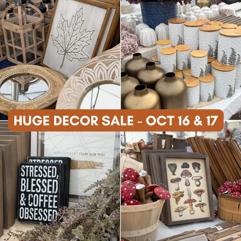 shores sisters huge Decor sale
